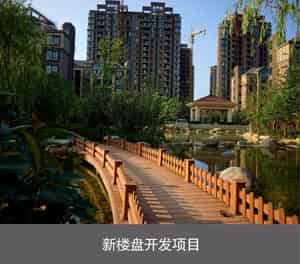 PJS俯仰簡易升降機(jī)械式停車設(shè)備新樓盤開發(fā)項目